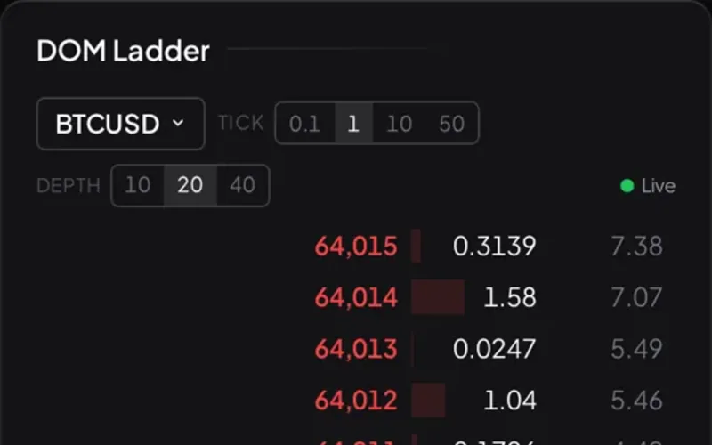 2 DOM ladders and 2 liquidity heatmaps open at once on BTC and ETH, up from 1 of each on Free.